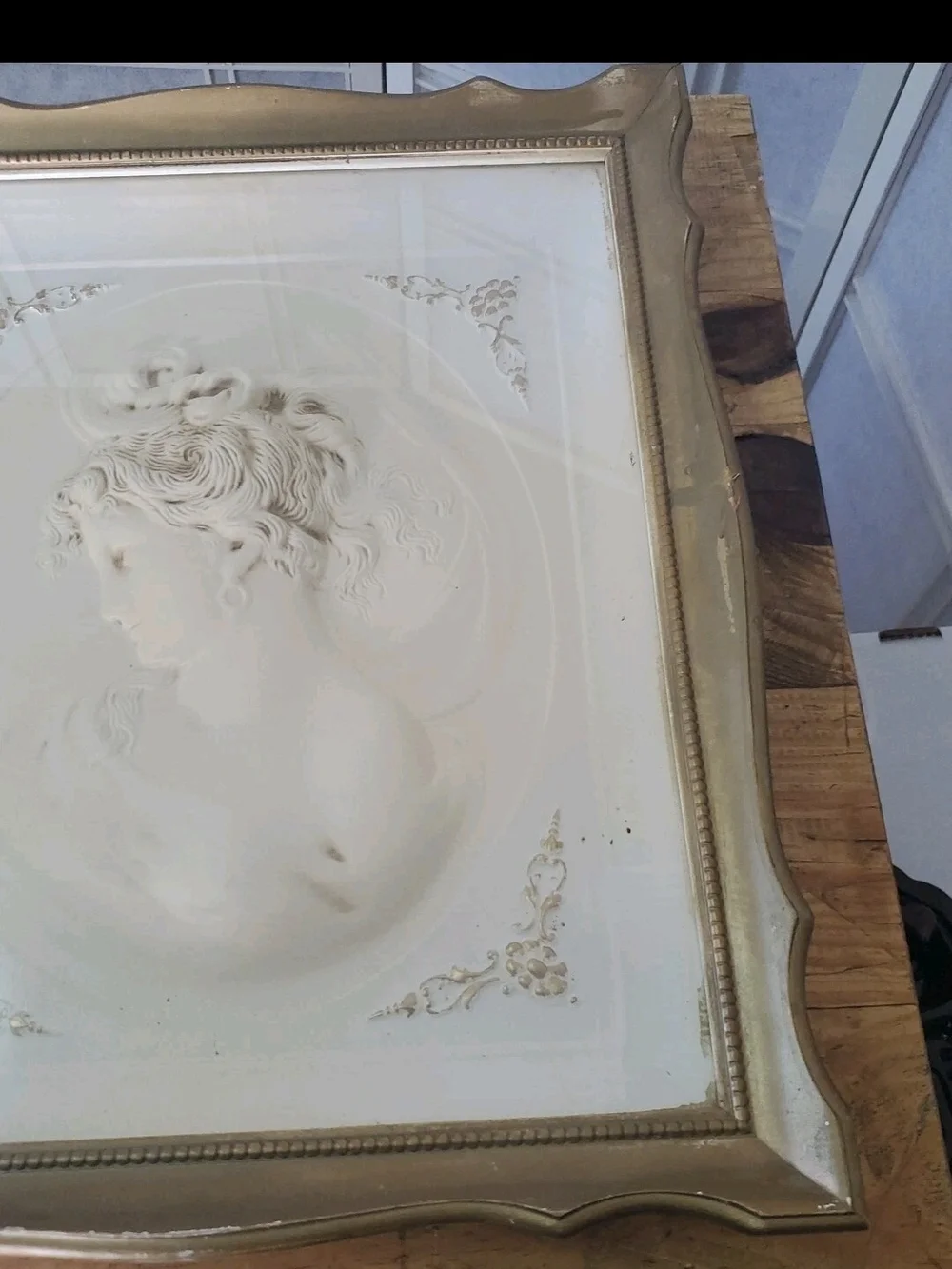 Vintage Gold-Framed Relief Portrait Wall Art - Elegant Female Bust 17X20